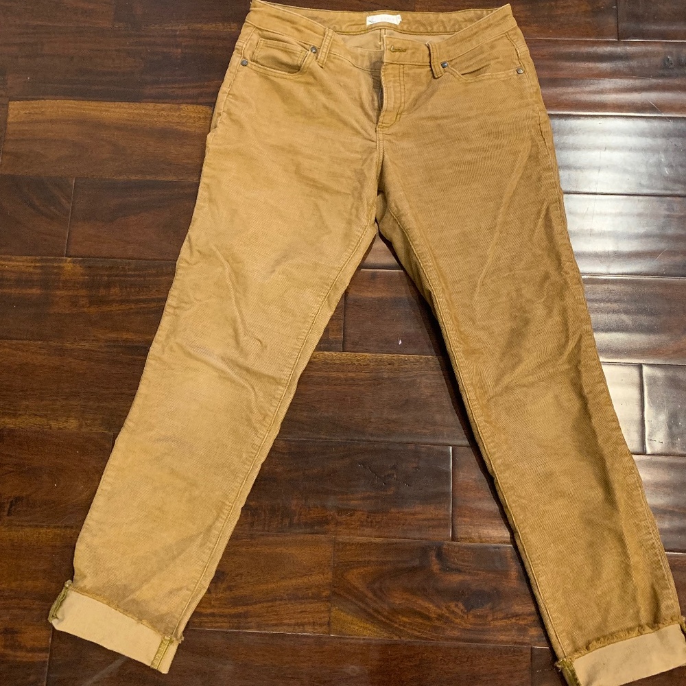 Carve Designs Brown Corduroy Pants